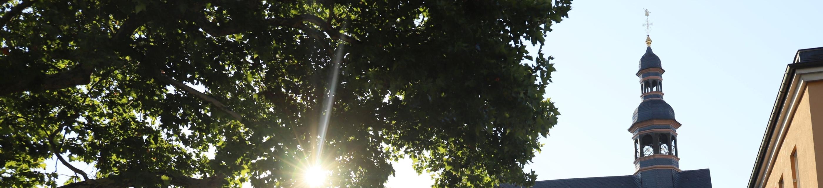 Kirchengebäude Welschnonnenkirche von der Seite im Gegenlicht - Sonne scheint durch Baum