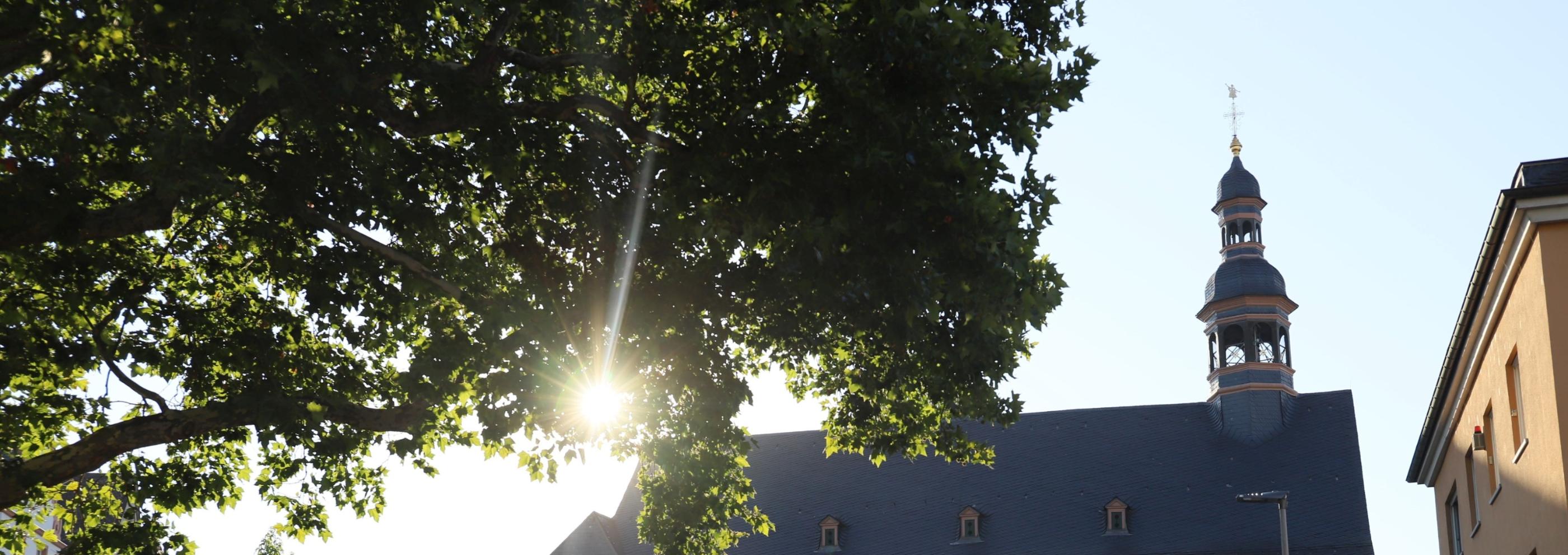 Kirchengebäude Welschnonnenkirche von der Seite im Gegenlicht - Sonne scheint durch Baum