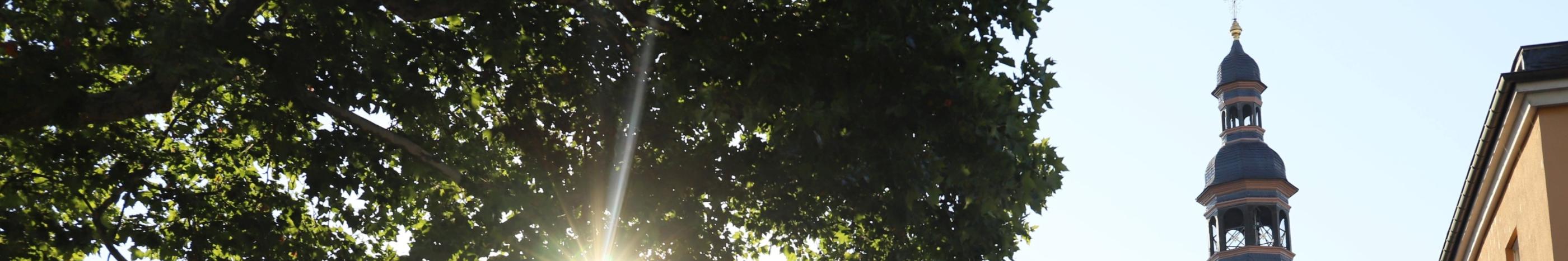 Kirchengebäude Welschnonnenkirche von der Seite im Gegenlicht - Sonne scheint durch Baum