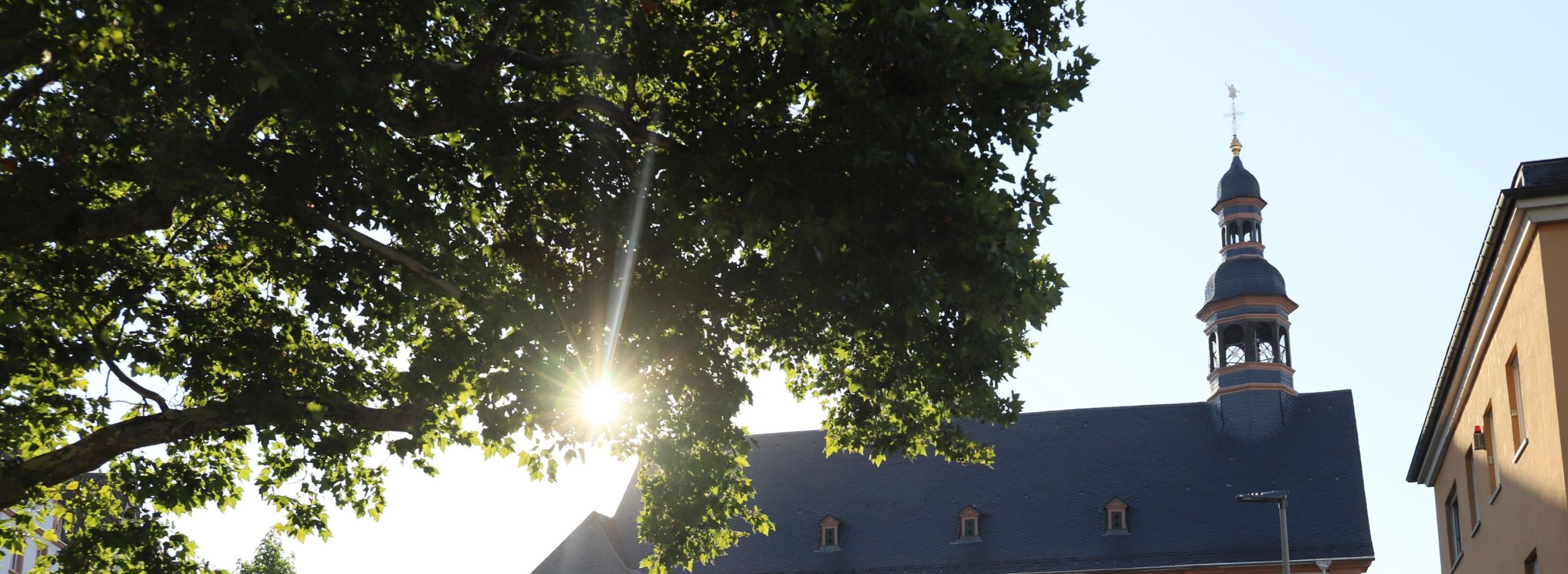 Kirchengebäude Welschnonnenkirche von der Seite im Gegenlicht - Sonne scheint durch Baum