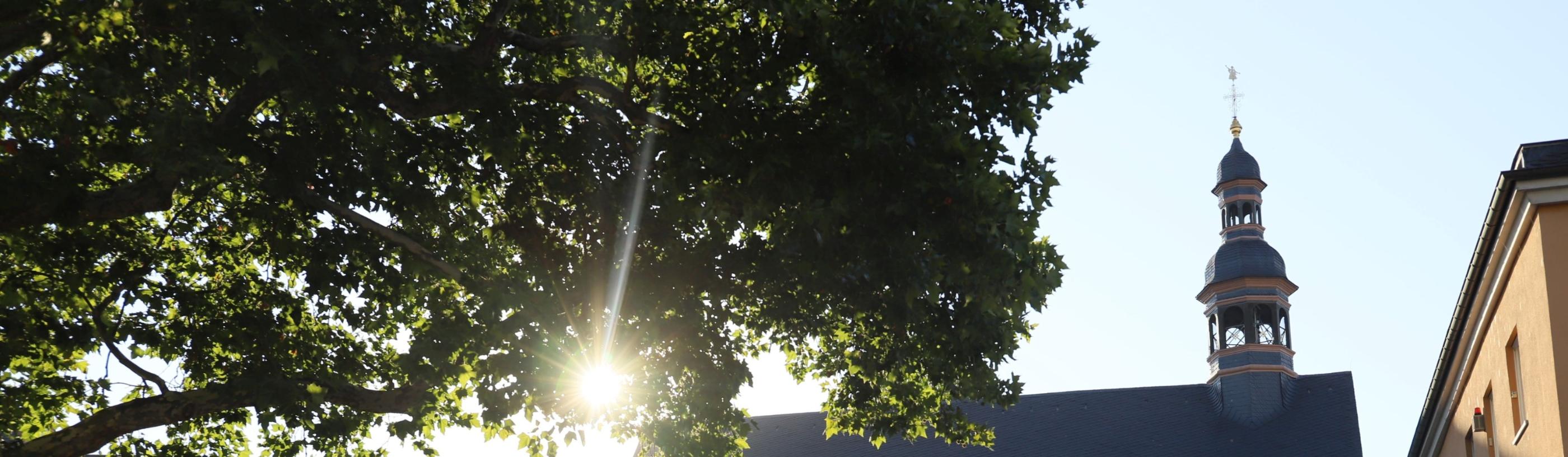 Kirchengebäude Welschnonnenkirche von der Seite im Gegenlicht - Sonne scheint durch Baum