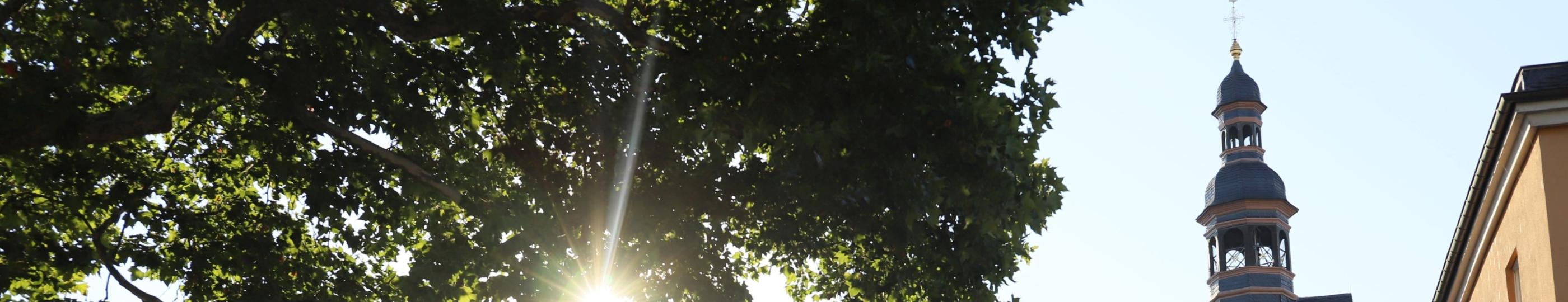 Kirchengebäude Welschnonnenkirche von der Seite im Gegenlicht - Sonne scheint durch Baum