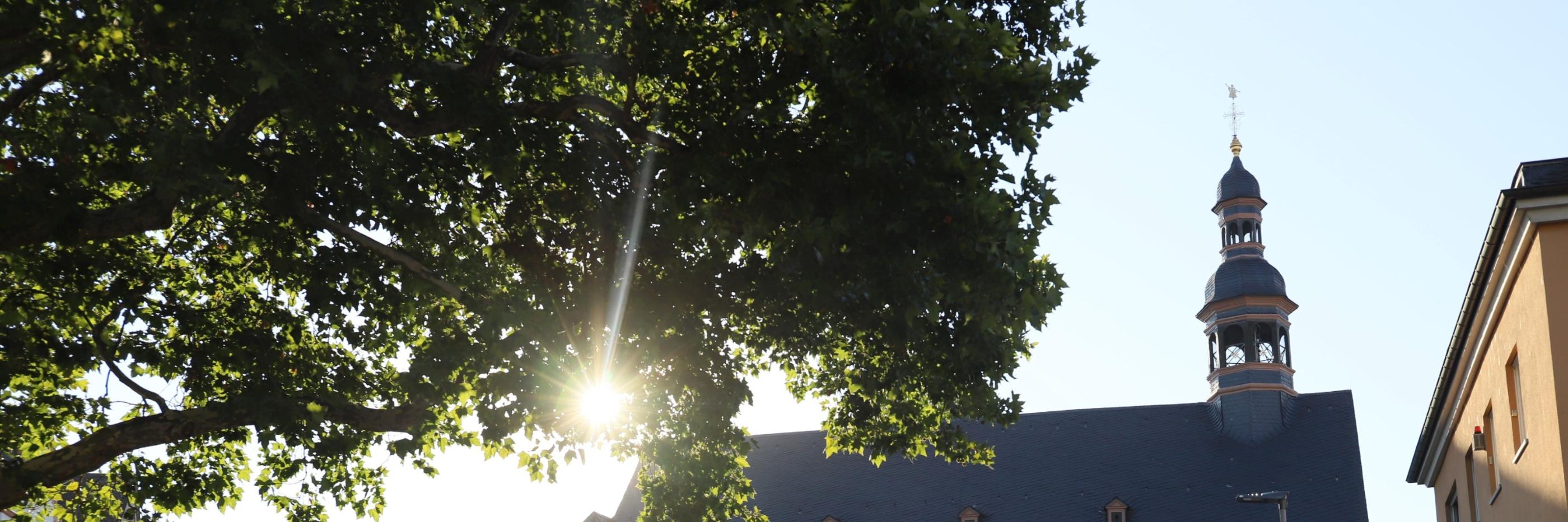 Kirchengebäude Welschnonnenkirche von der Seite im Gegenlicht - Sonne scheint durch Baum