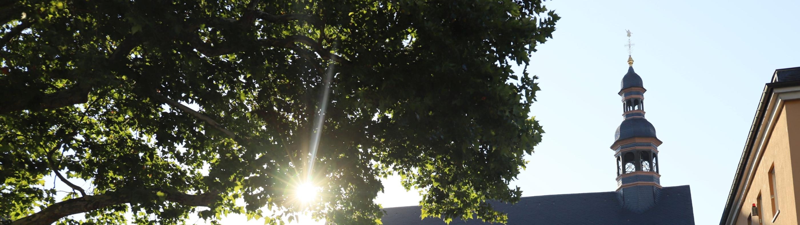 Kirchengebäude Welschnonnenkirche von der Seite im Gegenlicht - Sonne scheint durch Baum